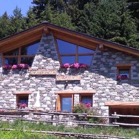 Agriturismo Valsaviore Cevo 外观 照片