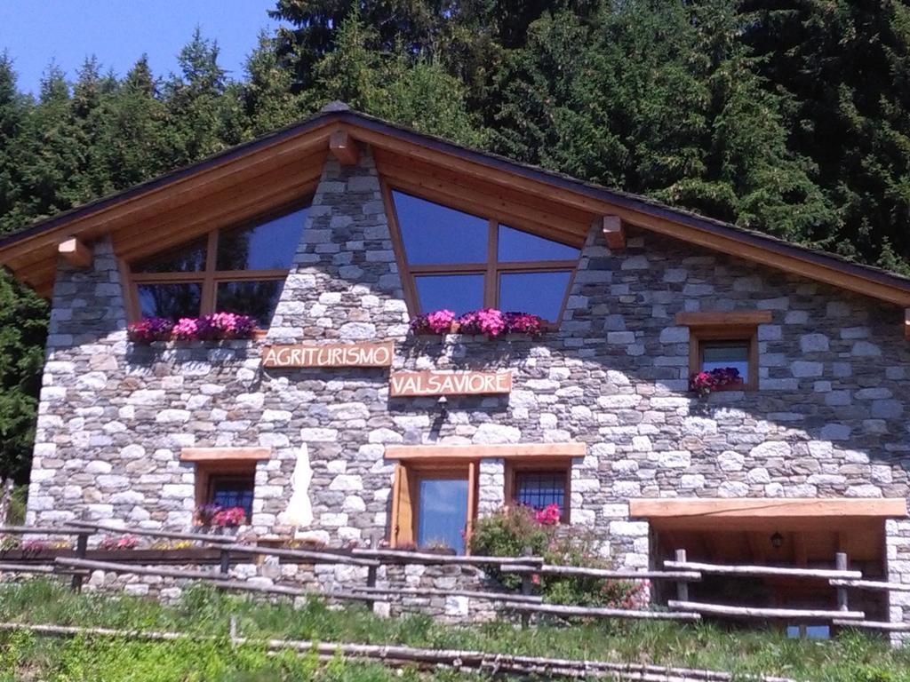Agriturismo Valsaviore Cevo 外观 照片