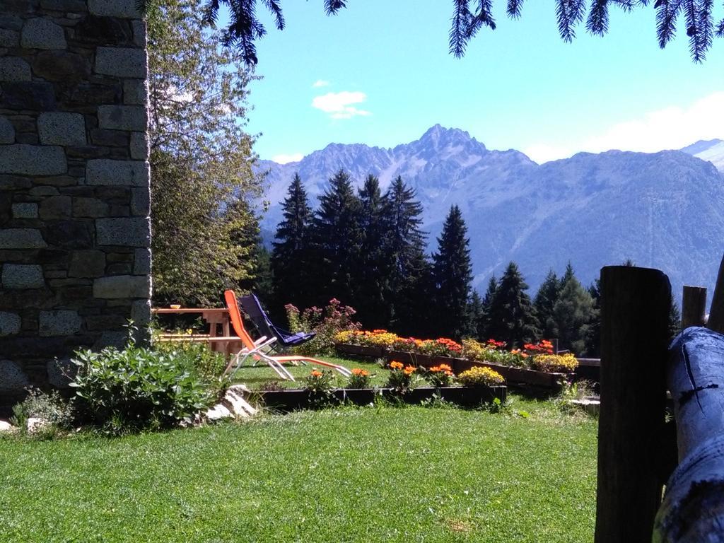 Agriturismo Valsaviore Cevo 外观 照片
