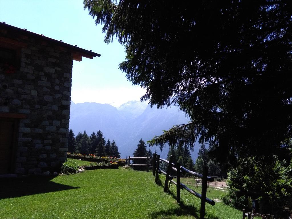 Agriturismo Valsaviore Cevo 外观 照片