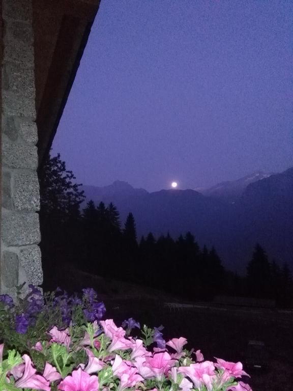 Agriturismo Valsaviore Cevo 外观 照片
