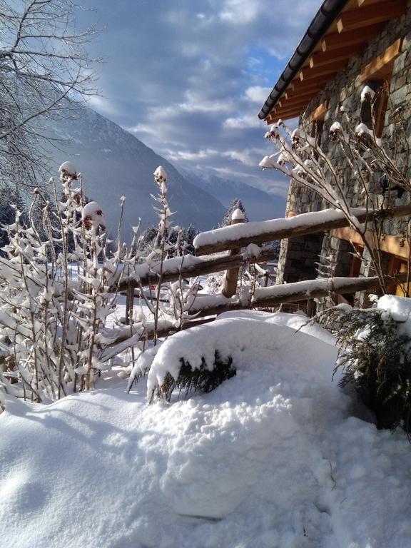 Agriturismo Valsaviore Cevo 外观 照片